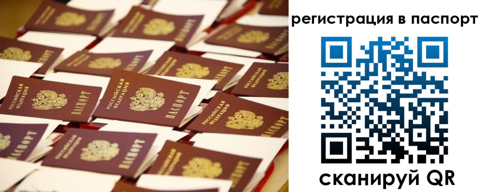 прописка гарантия в Унече